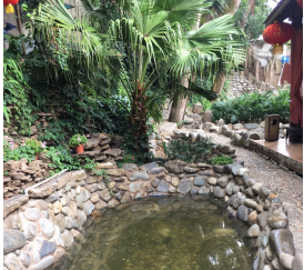 1614066140211046383.png image.png