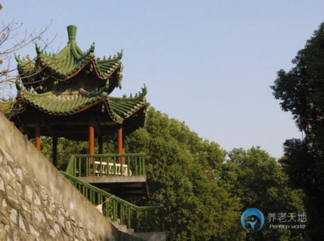 1614156463033077718.png image.png