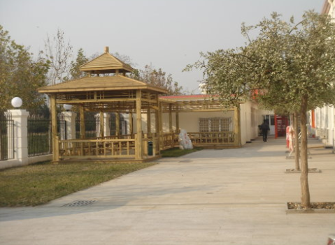 1614231727422002035.png image.png