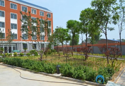 1614565906569087127.png image.png