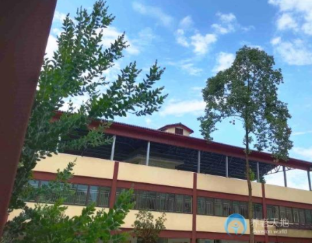 1614590637670002592.png image.png