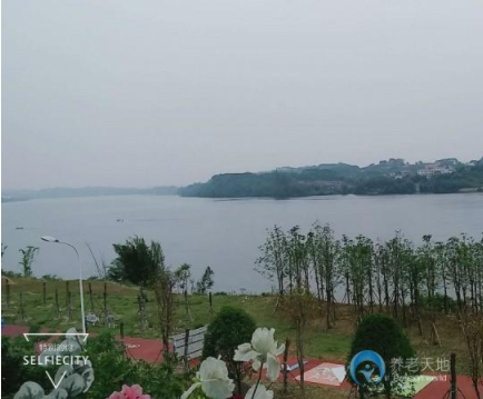 1614663582132042229.png image.png