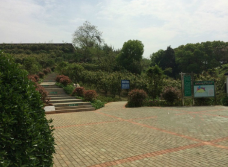 1614737670527094201.png image.png