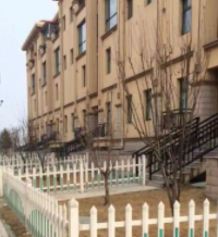 1614753115899075631.png image.png