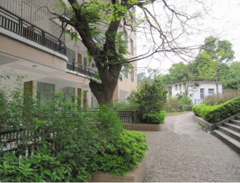 1614760335842025440.png image.png