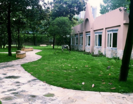 1614844651394030933.png image.png