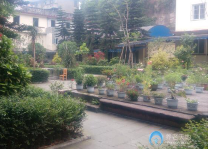 1614845166383000233.png image.png