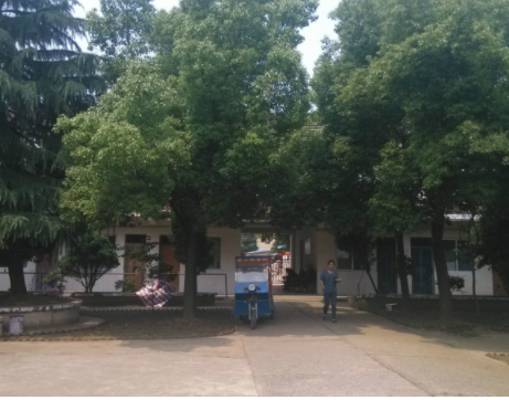 1615342898378061912.png image.png