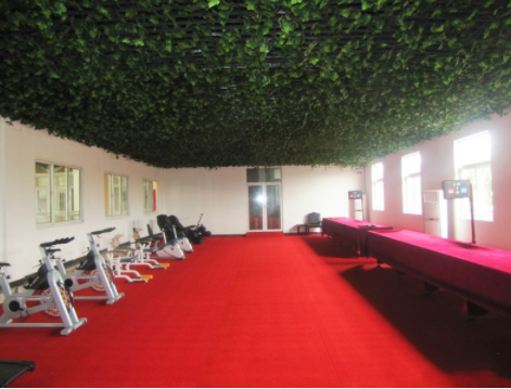 1615360419713046768.png image.png