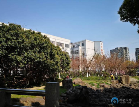 1615520038619042584.png image.png