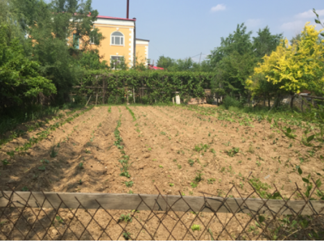 1615860616581037738.png image.png