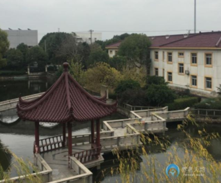 1615948145095003250.png image.png