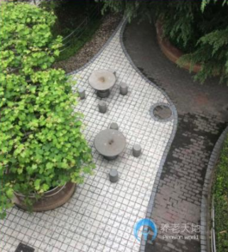 1616489094417025995.png image.png