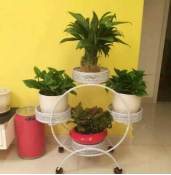 1617091253221053815.png image.png