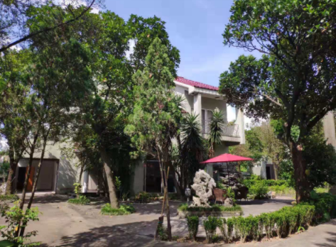 1617172322582071276.png image.png