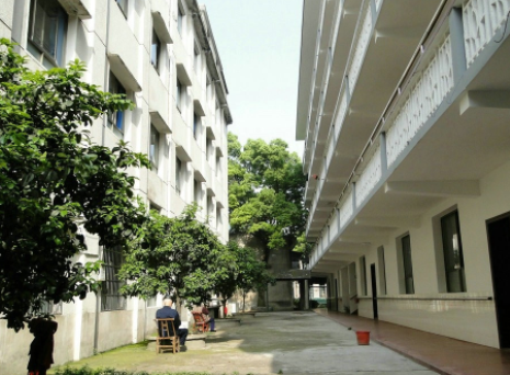 1617174570471043163.png image.png