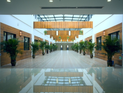 1617178157402023518.png image.png