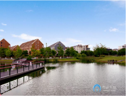 1617263428044030292.png image.png