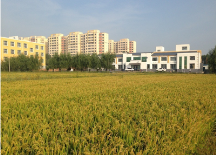 1617680759566017111.png image.png