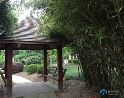 1617776735781031725.png image.png