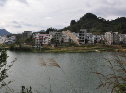 1617782779184016711.png image.png