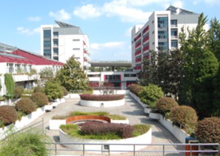 1617854234948051766.png image.png