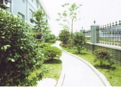 1617865731292096223.png image.png