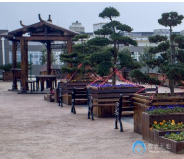 1617866719173051863.png image.png