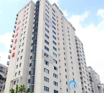 1617947889060030356.png image.png