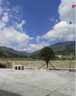 1618388424245002395.png image.png