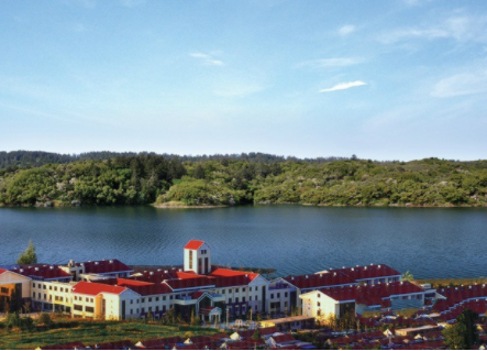 1618388697515095350.png image.png