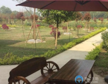 1618553329257077741.png image.png