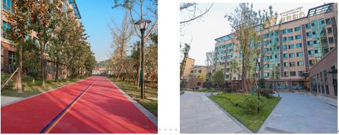 1618885365656015608.jpg 1.jpg