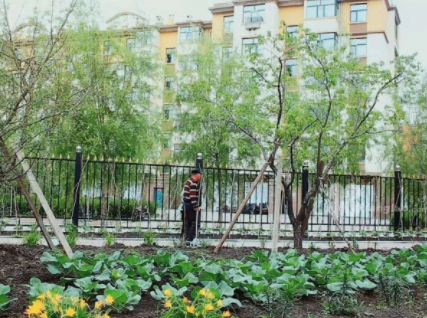 1618904158249019104.png image.png