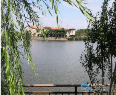 1618994994809064173.png image.png