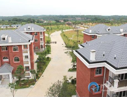 1619059540415095461.png image.png