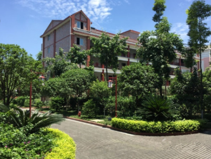 1619062730125000799.png image.png