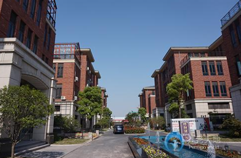 1619331137001066616.png image.png