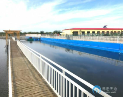 1620269728562000113.png image.png