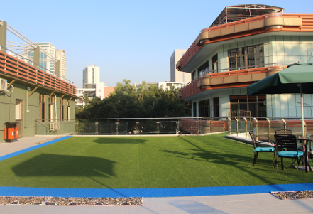 1620286890186045335.png image.png