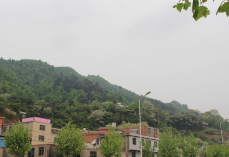 1620374401003028430.png image.png