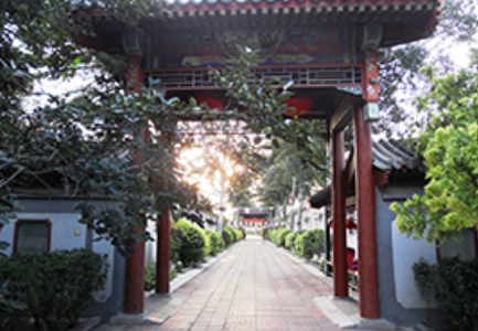 1620374931202068302.png image.png