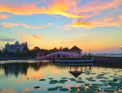 1620454219596024419.png image.png