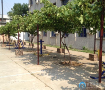 1620461786131007036.png image.png