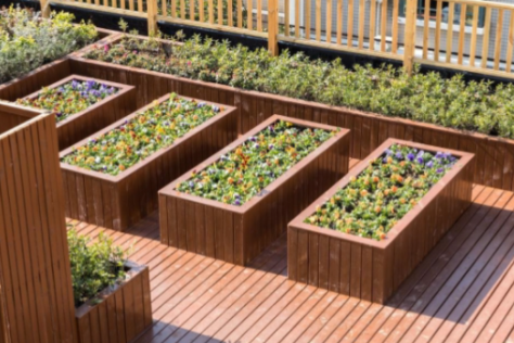 1620463163490046741.png image.png