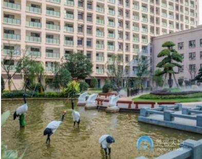 1620618166178059697.png image.png