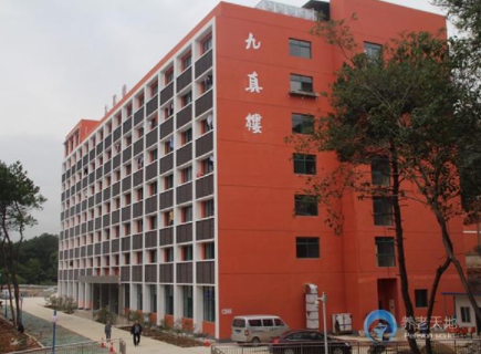 1621564592543071940.png image.png