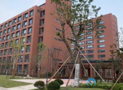 1621838278318027831.png image.png