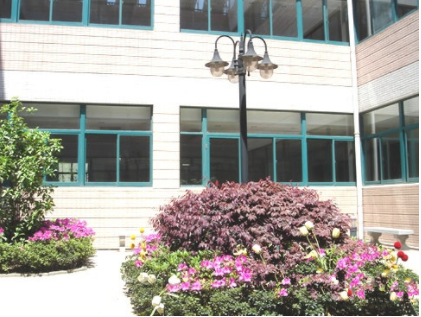 1622181291870019824.png image.png