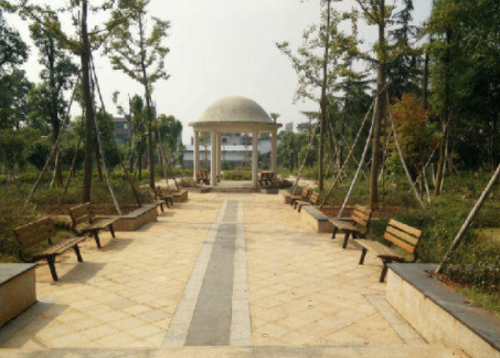 1623135192659086999.png image.png